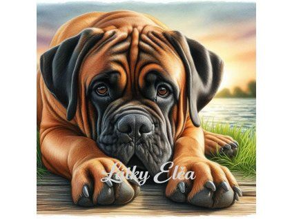 Bullmastiff drawing při západu
