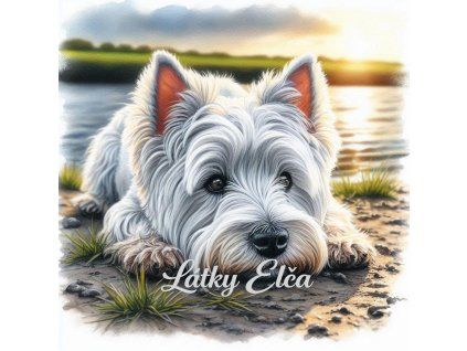 West Highland White Terrier při západu