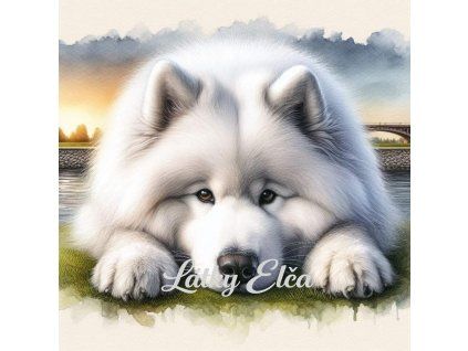 samojed při západu