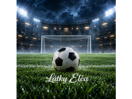 fotbal 3