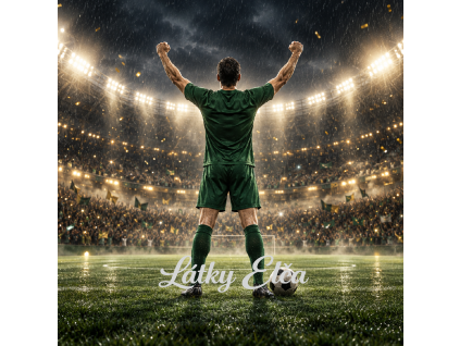 fotbal 6
