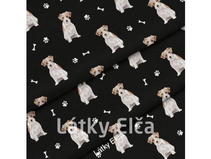 4117 kocarkovina pes jack russell