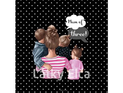 Panel kočárkovina Super máma + syn a 2 mladší dcery (Množství - vyberte variantu velikost 50x50cm - za 130,-/ks)