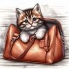 kočka v tašce 1