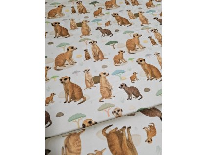 Surikaty savana - objednávka