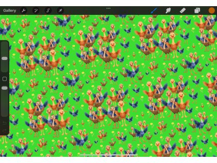 Pštrosi - objednávka