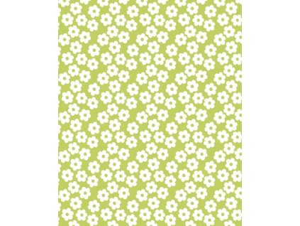 APN17053917439152764