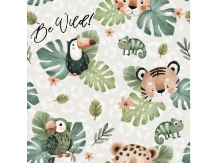 APN16585522845148080