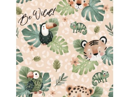 APN16585122845148076