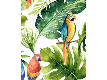 APN15460511579136830