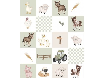 APN15240017435134625