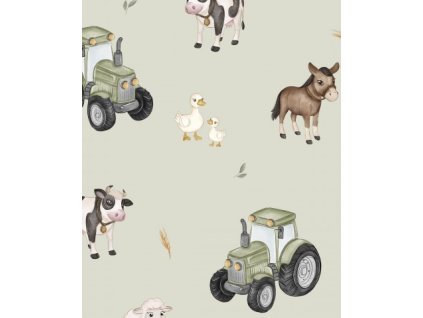 APN15239917435134624