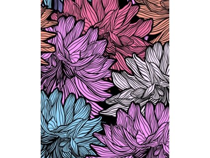 APN15138617448133611