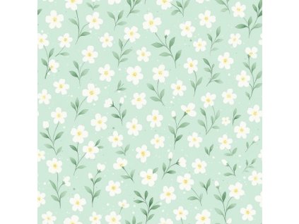 APN14239722845124622