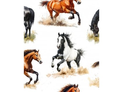 APN12289117807105116