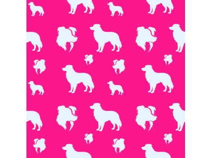 Borderky - siluety růžova