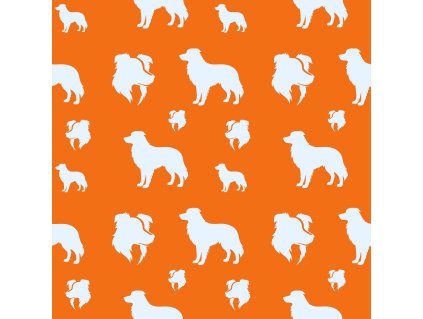 Bordersiluets orange