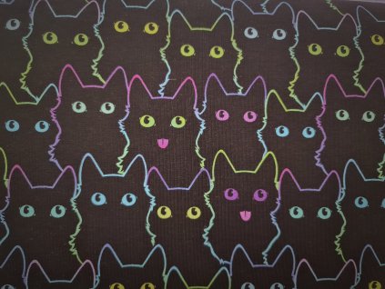 Neonové kočičky