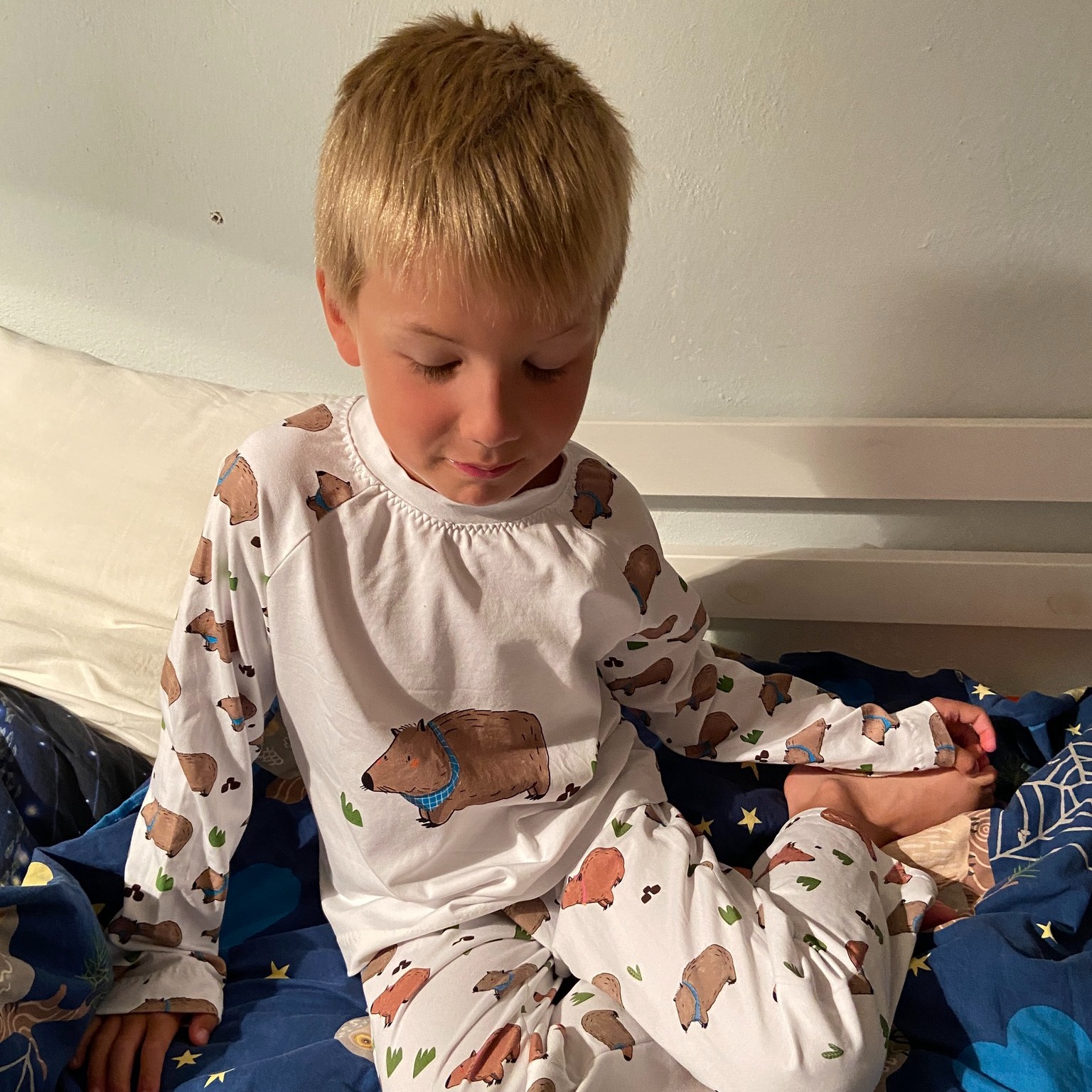 453177665_823376636558802_4651675963959814378_n_1