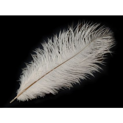 Pštrosí peří délka cca 20-25 cm (Varianta 1 bílá, Balení 2 ks)