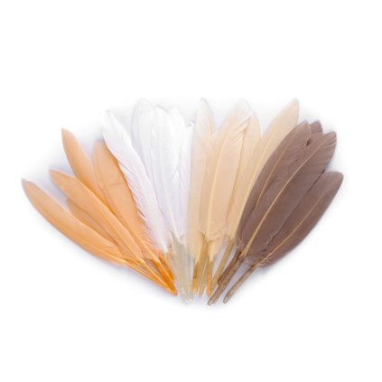 Kachní peří délka  9-14 cm (Varianta 10 černá, Balení 1 sáček)