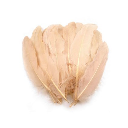 Husí peří délka 12-21 cm (Varianta 1 bílá, Balení 20 ks)