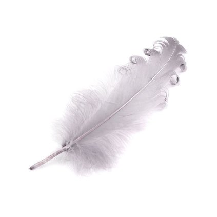 Husí peří kudrnaté délka 12-18 cm (Varianta 1 bílá, Balení 4 ks)