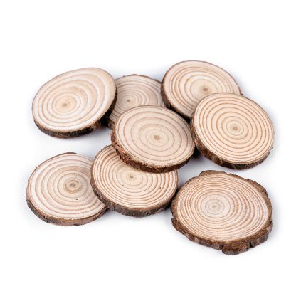 Přírodní dřevěné kolečko k domalování Ø2,5-4,5 cm (Varianta přírodní, Balení 1 sáček)