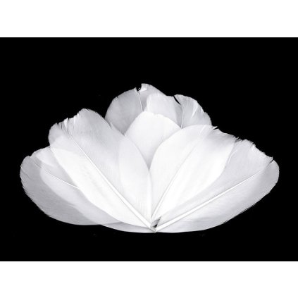 Husí peří délka 5,5-7 cm (Varianta 1 bílá, Balení 1 sáček)