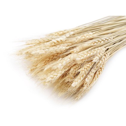 Obilí přírodní svazek (Varianta přírodní sv., Balení 1 svaz.)