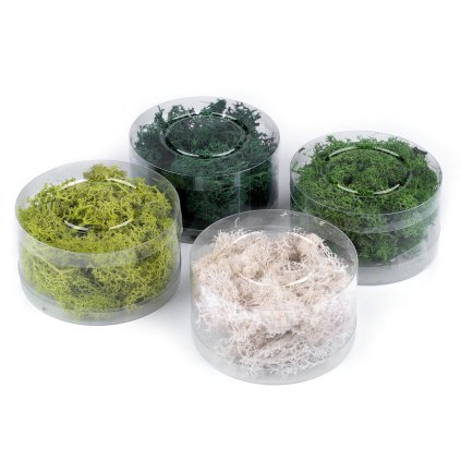 Stabilizovaný / preparovaný mech 20 g v krabičce (Varianta 2 zelená sv., Balení 1 ks)