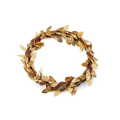 Tvarovací drátek s listy 2 m (Varianta zlatá, Balení 1 svaz.)