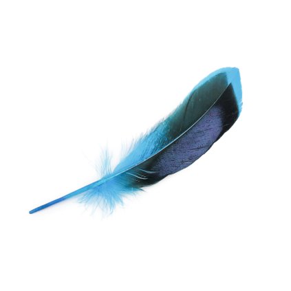 Kachní peří délka 13-15 cm (Varianta 1 červená, Balení 1 sáček)