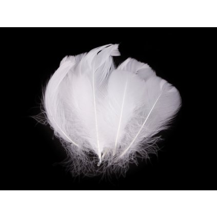 Pštrosí peří délka 6-11 cm (Varianta 1 bílá, Balení 1 sáček)
