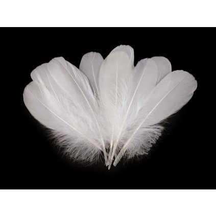 Husí peří délka 14-18 cm (Varianta 10 červená tmavá, Balení 10 ks)