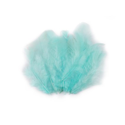 Slepičí peří délka 8-9 cm (Varianta 1 žlutá nejsv., Balení 1 sáček)