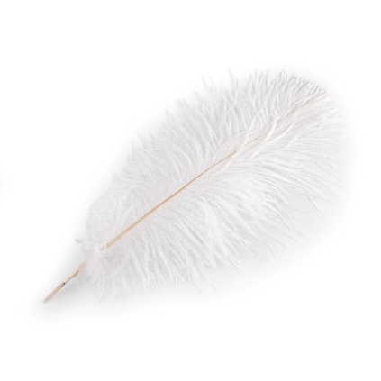 Pštrosí peří délka 40-45 cm nebělené (Varianta bílá přírodní, Balení 1 ks)