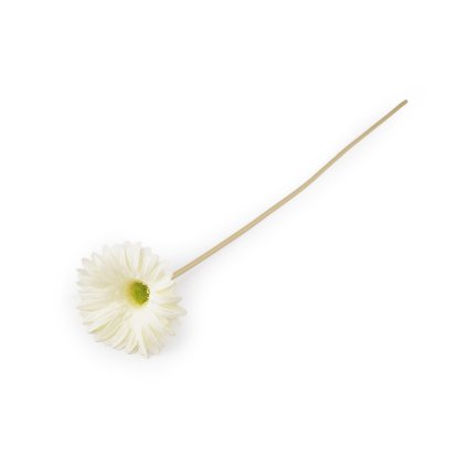 Umělá gerbera dlouhá (Varianta 1 krémová světlá, Balení 1 ks)