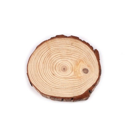 Přírodní dřevěné kolečko / podložka k domalování a dotvoření Ø16 cm
