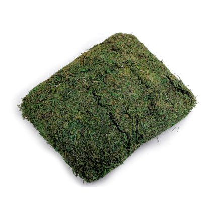 Dekorační přírodní mech 250 g (Varianta zelená, Balení 1 sáček)