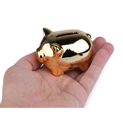 Zlaté prasátko pro štěstí / pokladnička pro svatby a Vánoce (Varianta zlatá, Balení 1 ks)