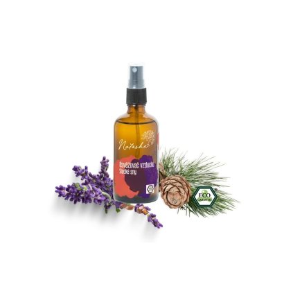 943 1 natasha osvezovac vzduchu sladke sny