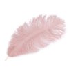 Pštrosí peří délka cca 20-25 cm (Varianta 1 bílá, Balení 2 ks)