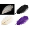 Pštrosí peří délka cca 20-25 cm (Varianta 1 bílá, Balení 2 ks)