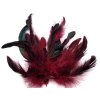 Slepičí peří délka 6-20 cm (Varianta 3 červená tmavá, Balení 20 ks)
