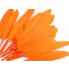 Kachní peří délka  9-14 cm (Varianta 10 černá, Balení 1 sáček)