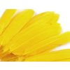 Kachní peří délka  9-14 cm (Varianta 10 černá, Balení 1 sáček)