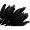 Kachní peří délka  9-14 cm (Varianta 10 černá, Balení 1 sáček)