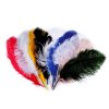Pštrosí peří délka 60 cm (Varianta 9 bílá, Balení 1 ks)
