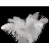 Pštrosí peří délka 60 cm (Varianta 9 bílá, Balení 1 ks)
